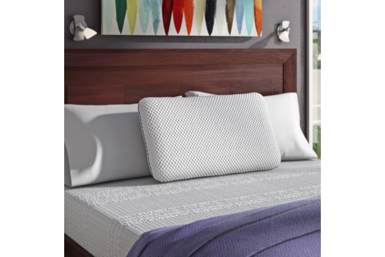 Wayfair hot sale bed pillows